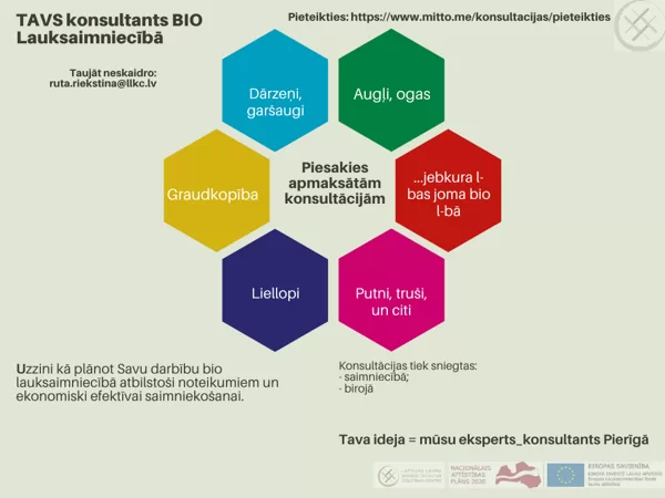 Apmaksātas konsultācijas